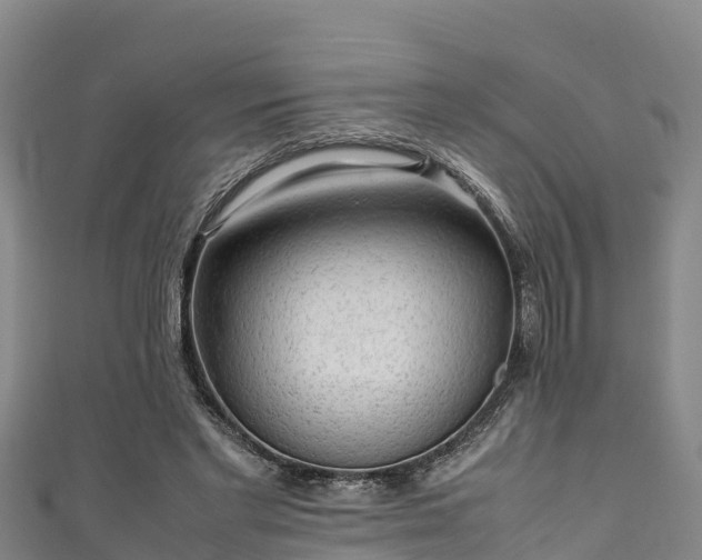 X0000111600493200907231239