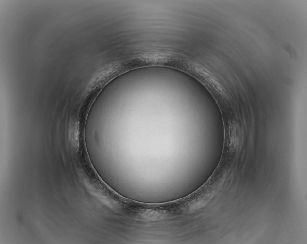X0000111600494200907231239
