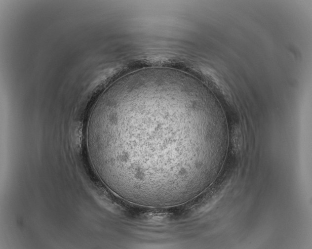 X0000111600495200907231239