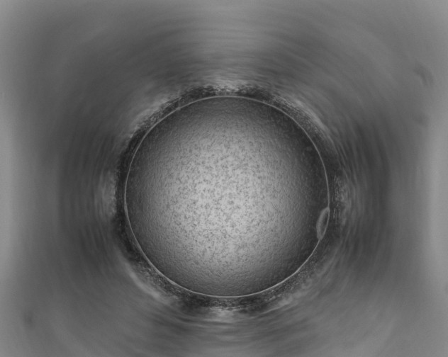 X0000111600496200907231239