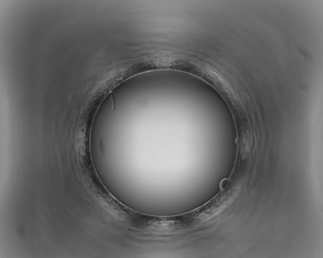 X0000111600497200907231239