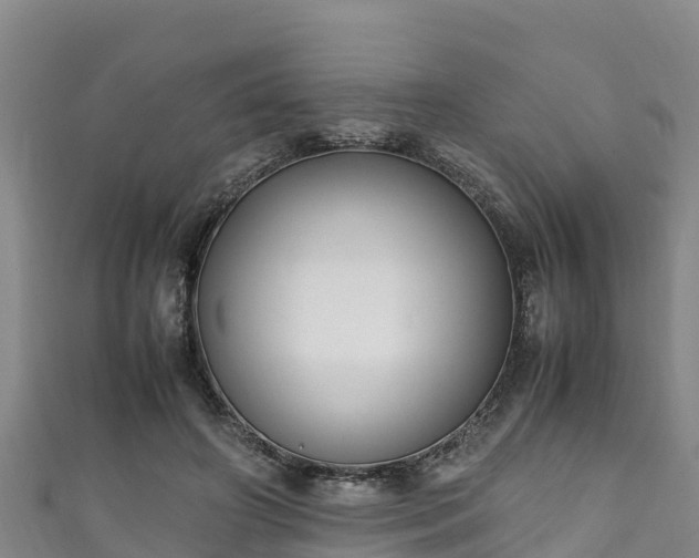 X0000111600498200907231239