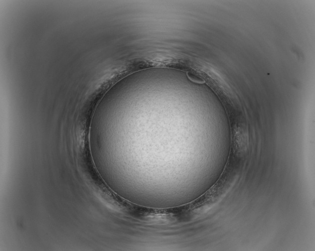X0000111600499200907231239