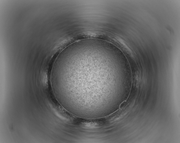 X0000111600500200907231239