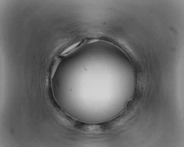 X0000111600501200907231239