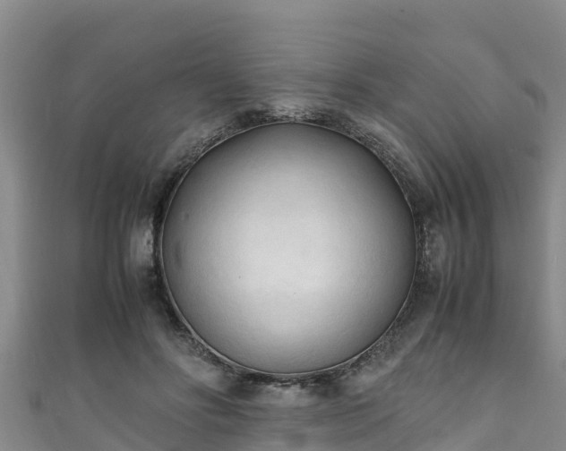 X0000111600502200907231239