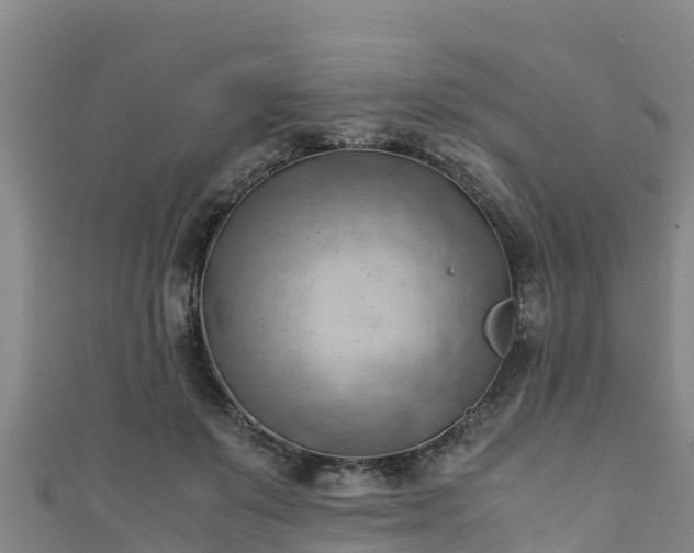 X0000111600503200907231239