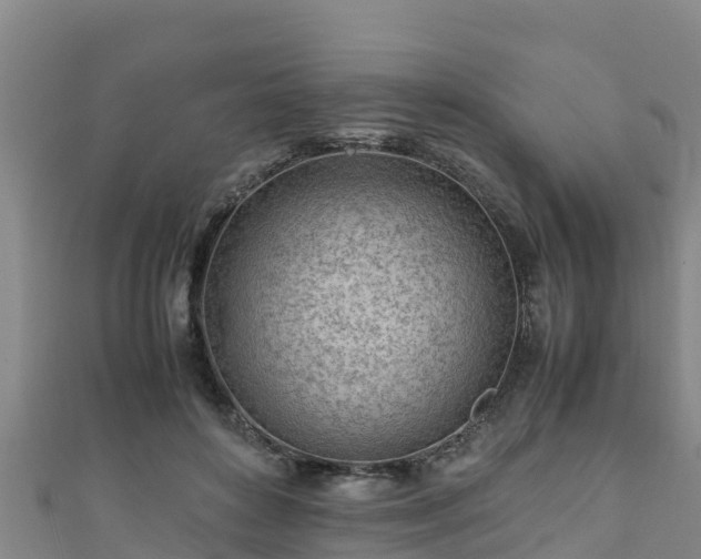 X0000111600504200907231239