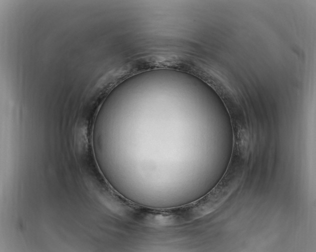 X0000111600506200907231239