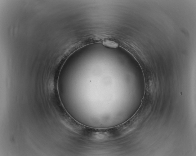 X0000111600508200907231239