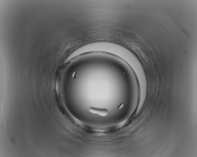 X0000111600509200907231239