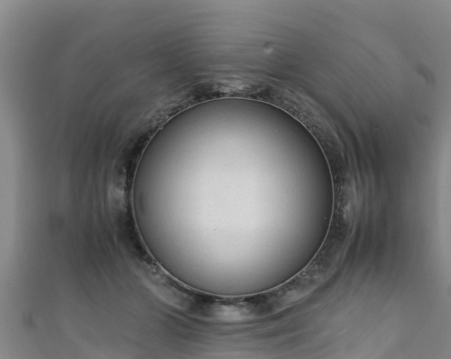 X0000111600510200907231238