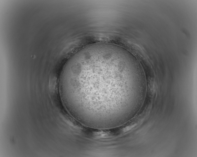 X0000111600511200907231238