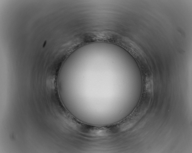 X0000111600514200907231238