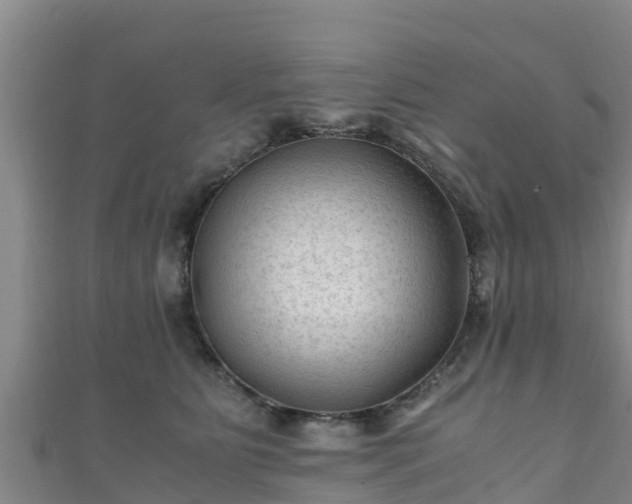 X0000111600515200907231238