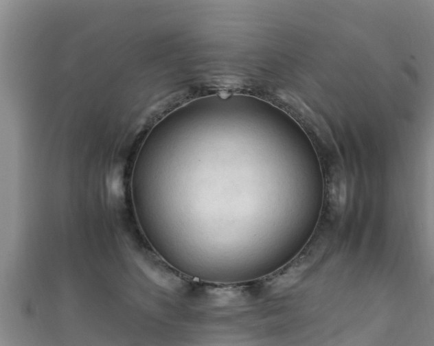 X0000111600516200907231238