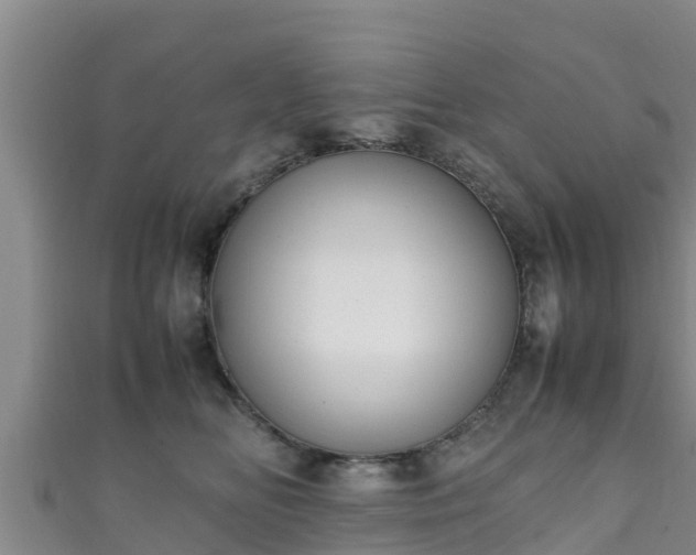 X0000111600518200907231238