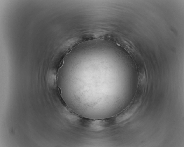 X0000111600527200907231238