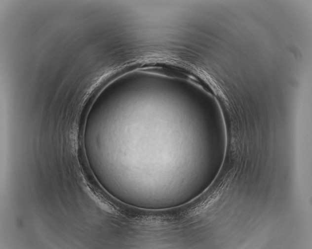 X0000111600530200907231237