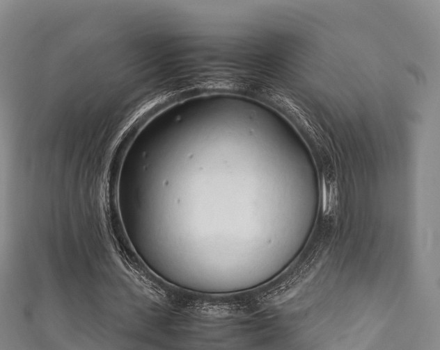 X0000111600531200907231237