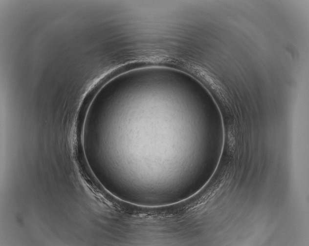 X0000111600532200907231238