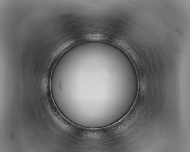 X0000111600533200907231238