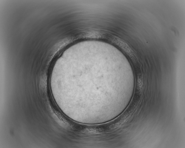 X0000111600534200907231238