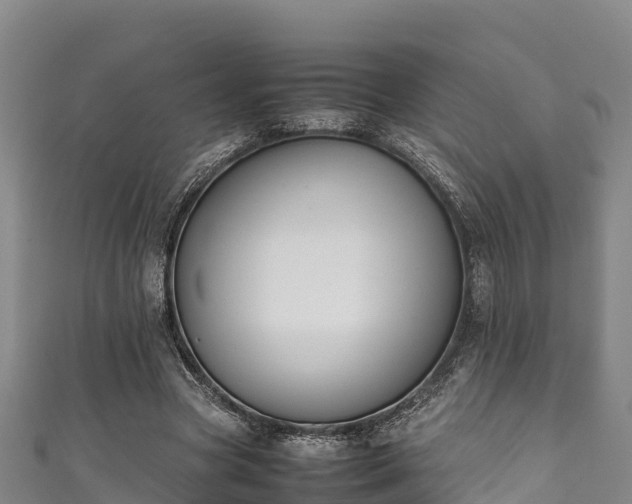 X0000111600537200907231238