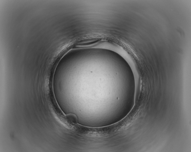 X0000111600538200907231238