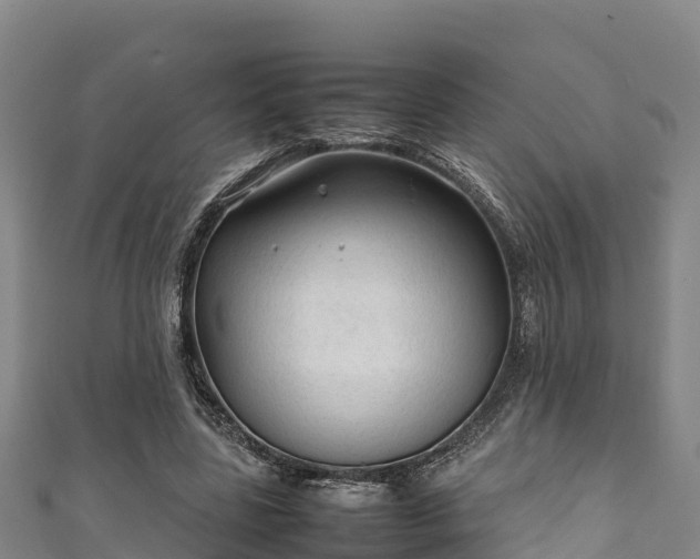 X0000111600539200907231238