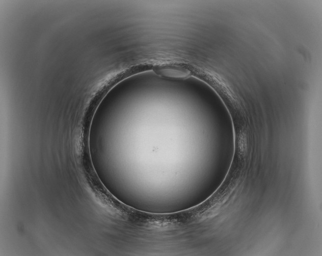 X0000111600540200907231238