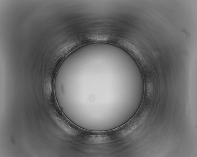 X0000111600541200907231238