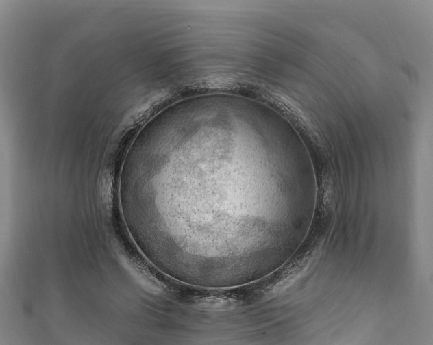 X0000111600542200907231238