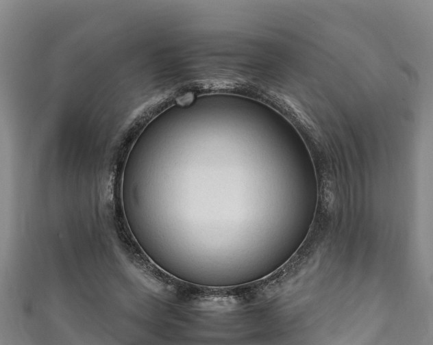 X0000111600543200907231238