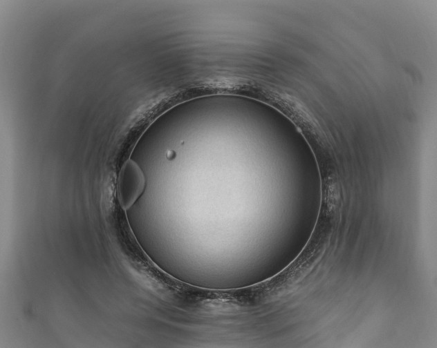 X0000111600544200907231238