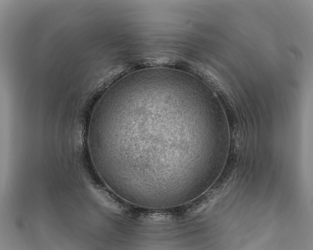 X0000111600546200907231238