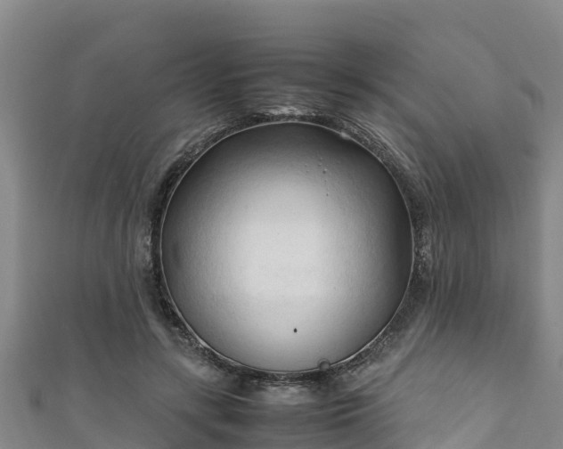 X0000111600547200907231238