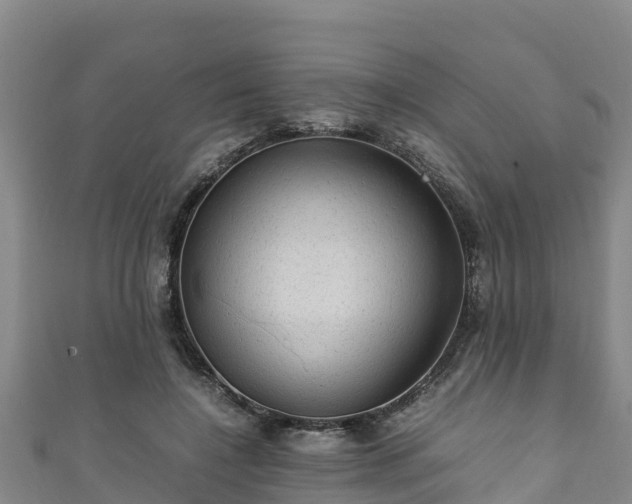 X0000111600548200907231238