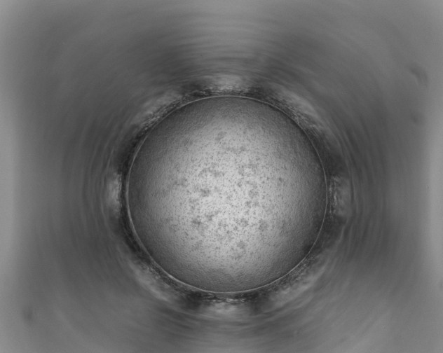 X0000111600550200907231238