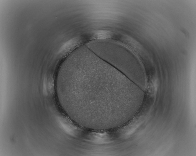 X0000111600552200907231238