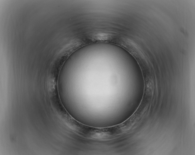 X0000111600555200907231238