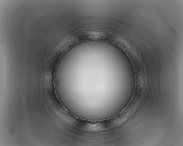 X0000111600557200907231238