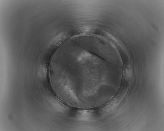 X0000111600558200907231238
