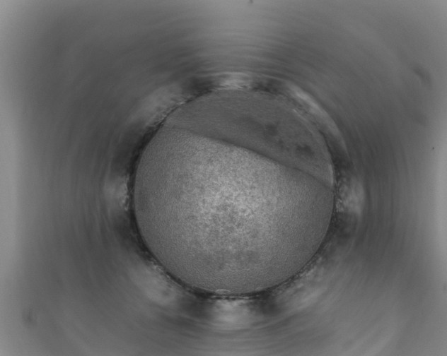 X0000111600560200907231238