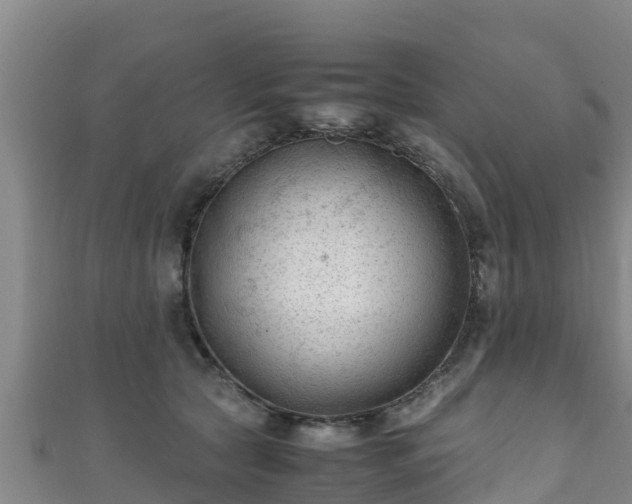X0000111600561200907231238