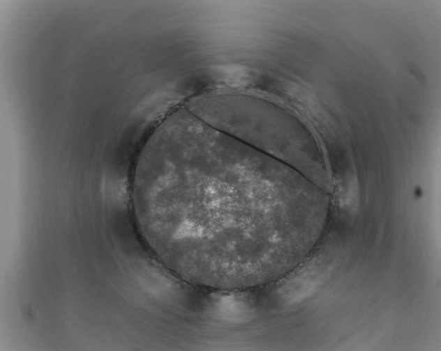 X0000111600564200907231238