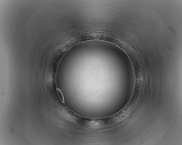 X0000111600566200907231238