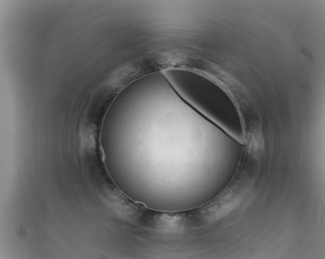 X0000111600570200907231238