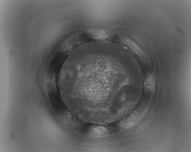 X0000111600572200907231238