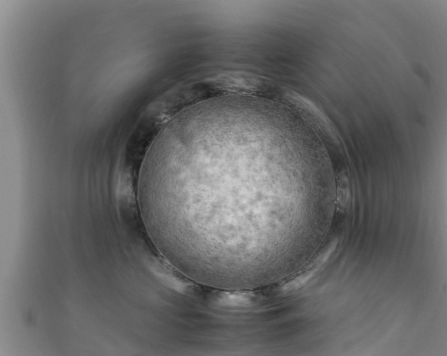 X0000111600573200907231238